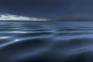 Silky sea