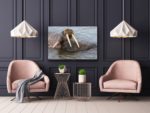 Walrus love - Image 4