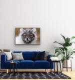 Shabby fox - Image 2